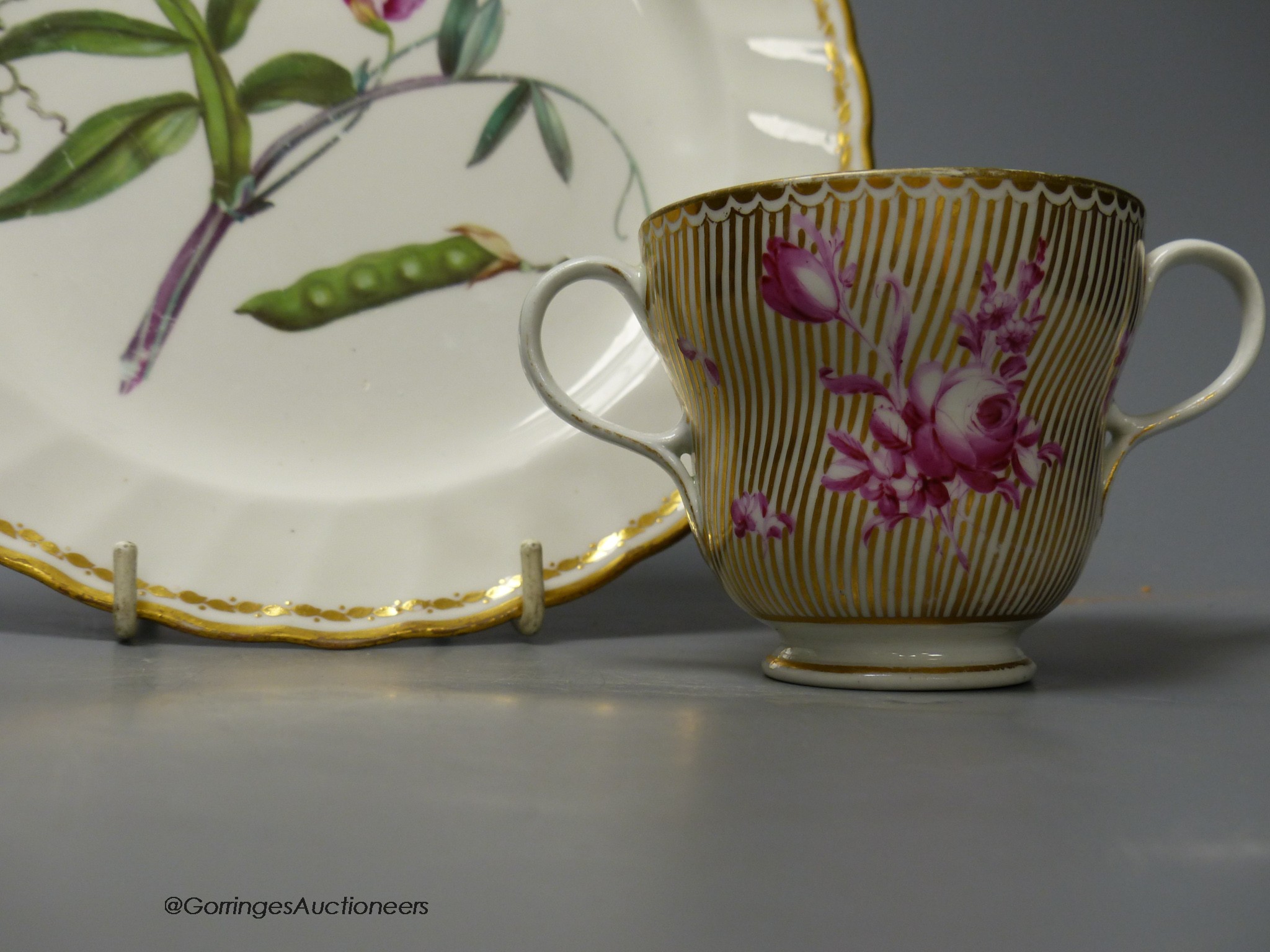 A Derby botanical plate painted with jointed prodded Lathyrus, titled, blue mark pattern 141, 22.5cm diameter and a Chelsea Derby period two-handled chocolate cup with puce flowers on a line gilded ground